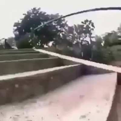 (Não, se é repost okay?)