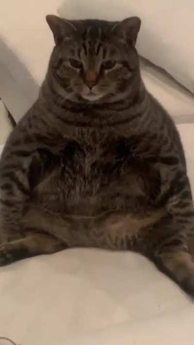 Look at this distinguished gentleman