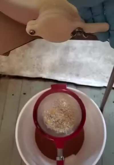 Processing honey
