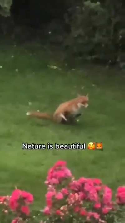 Nature is so beautiful ❤