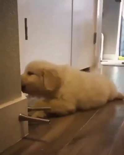 Doorstop