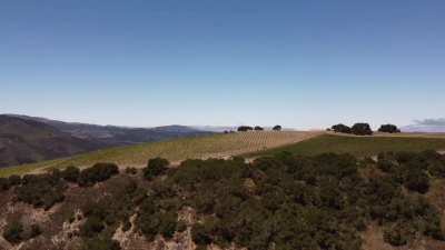 California wine hills, mini2