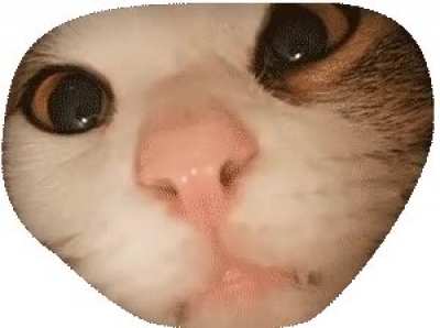 Eye reveal