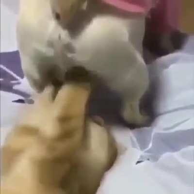 You next