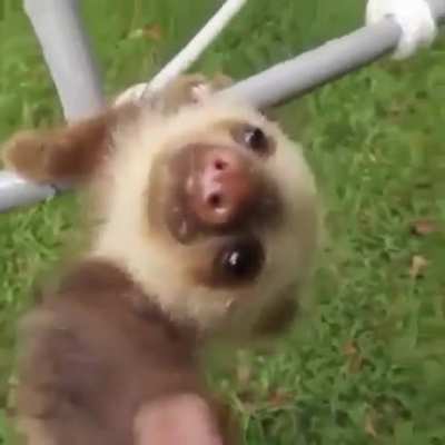 extremely cute