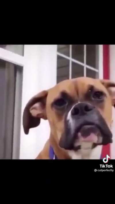 This whole video
