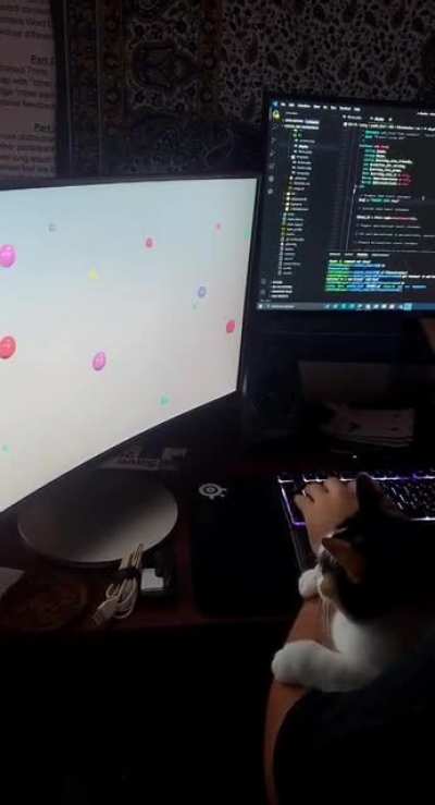 She watches 