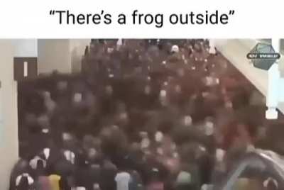 Frog moment👍