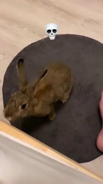 She bit my toe :(