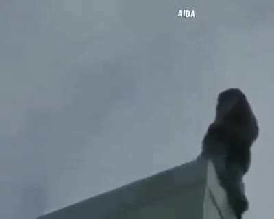 ATLA ATLA ATLAMAYAN IBNE