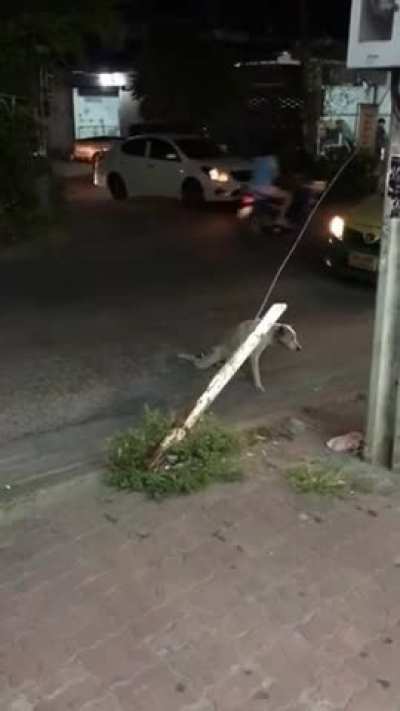 Maybe Maybe Maybe
