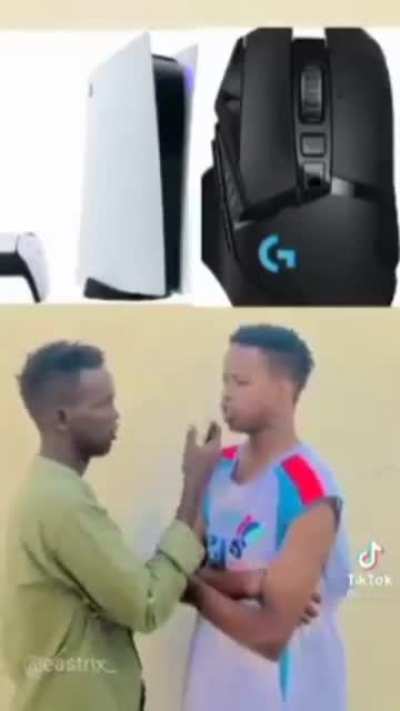 Paresteichon faaive