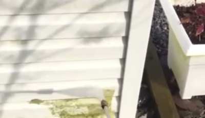 Bruh...