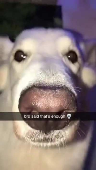 Bro