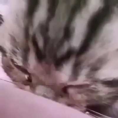 cri