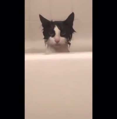 “I’ve been given a bath against my will” *Initiate assassination protocols*