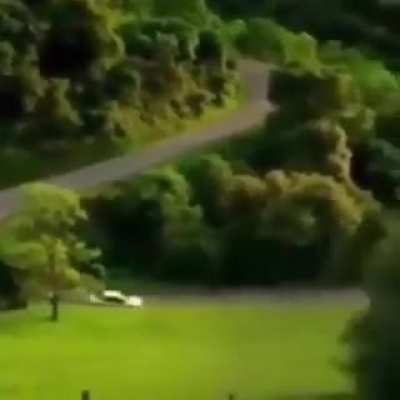 Cura
