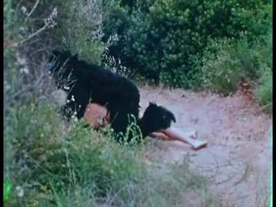 White damsel in distress Chris Robin gets ape-raped (Tarzun and the Valley of Lust, 1970)