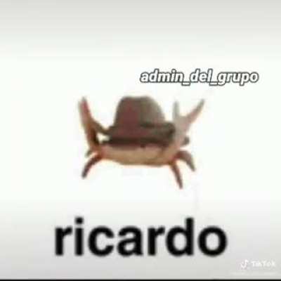 Discord bullshit part37 (Ricardoending)