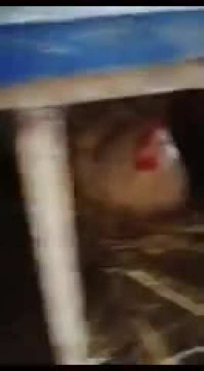 Chick