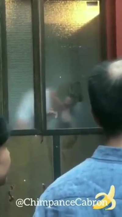 NOOOOOO MOMO
