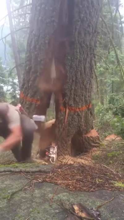 Yikes!