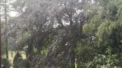 Last Sunday's sunny summer rain that later ended in a huge storm - from our balcony in Germany