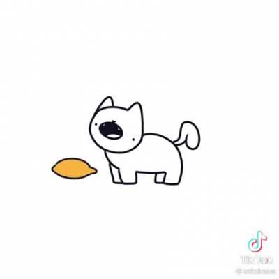Curiosity killed the cat