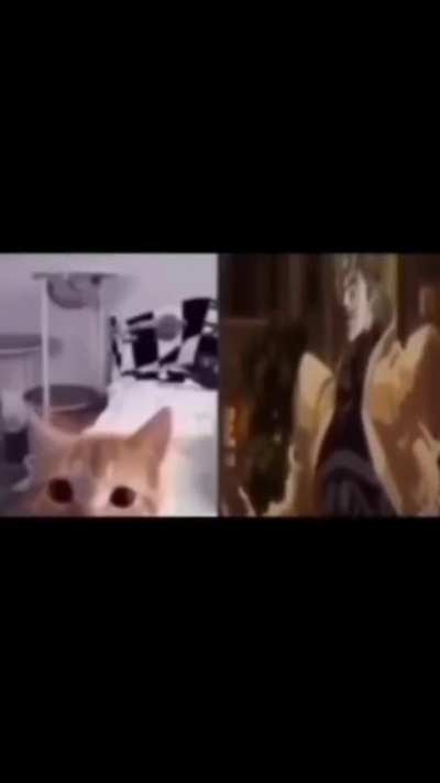 Title 💀