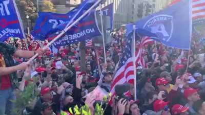 MAGA Million March STOP THE STEAL!