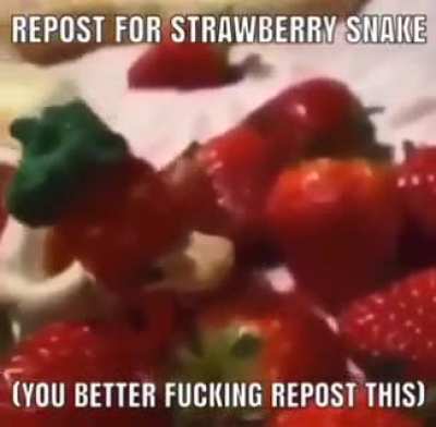 🍓🐍ftw