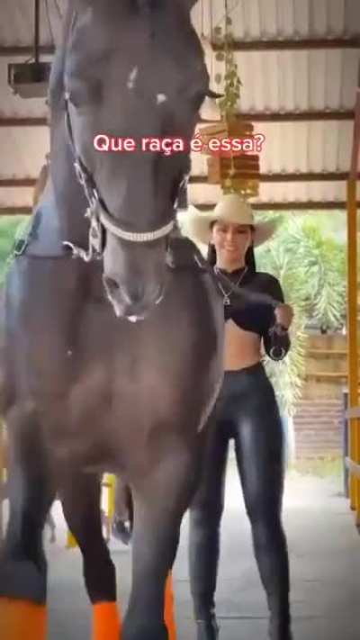 Que raça é essa?