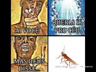 Skibirabi