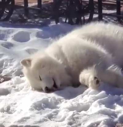 Lick lick lick lick