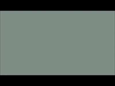 This video I made in 2017. Hurt by NIN with increasingly more Pickle Rick.