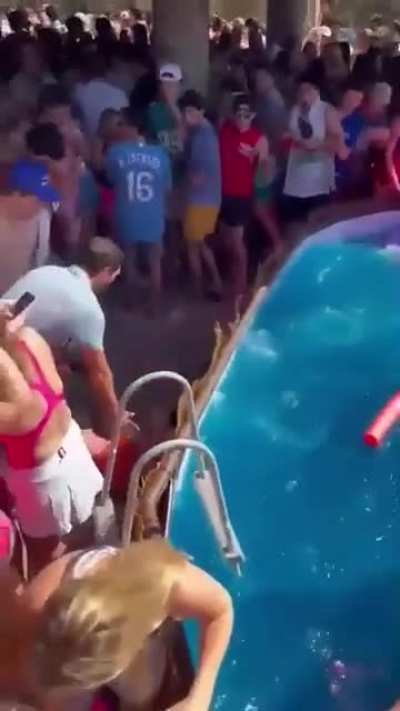 To dive in the pool