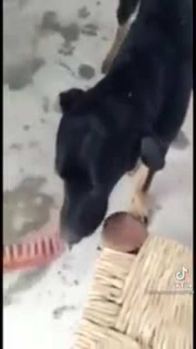 crueldad animal😭😭😭😭😭😭