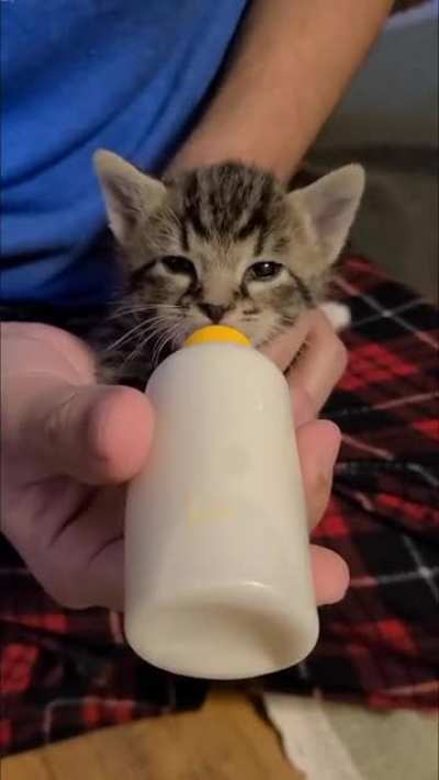 Smol supper time