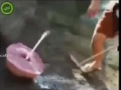 spontaneous cumbustion