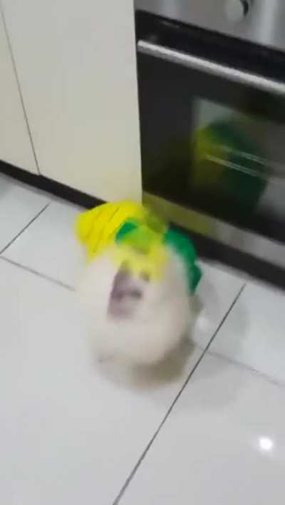 Pineapple