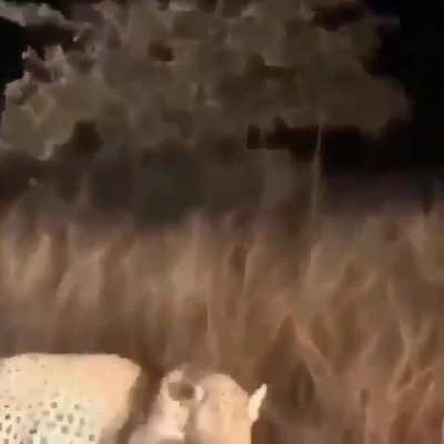 Ну что ж, на ошибках учатс<wbr>я...