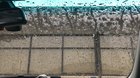 Stuck waiting in the car. Got nothing but time to enjoy the rain.