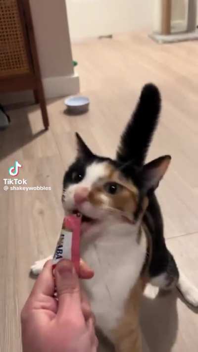 wunky snack time