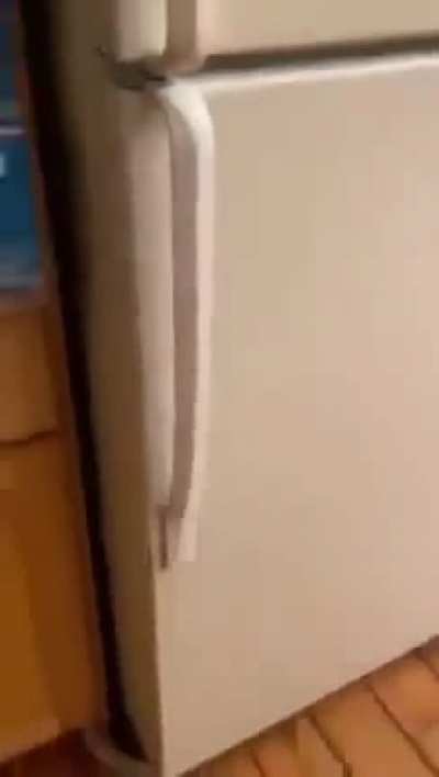 Mom's cool fridge.