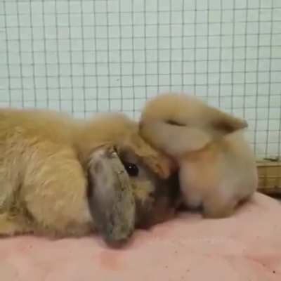 He really loves his mama