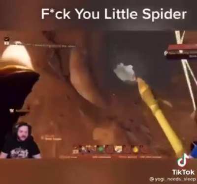 Spider