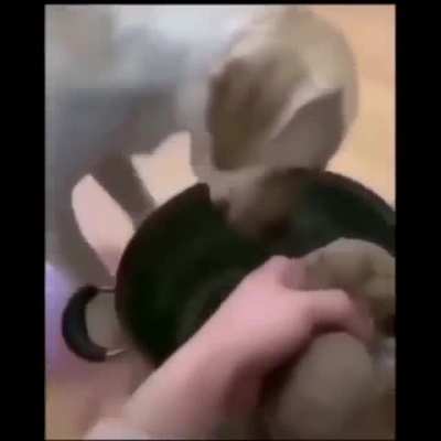 😢😢😢😢