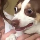 Help...me.
