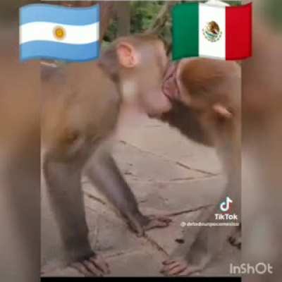 Ya no peleen, paz