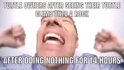 Yes